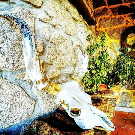 Horse House * ソアジョ